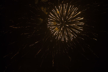 fireworks in the sky