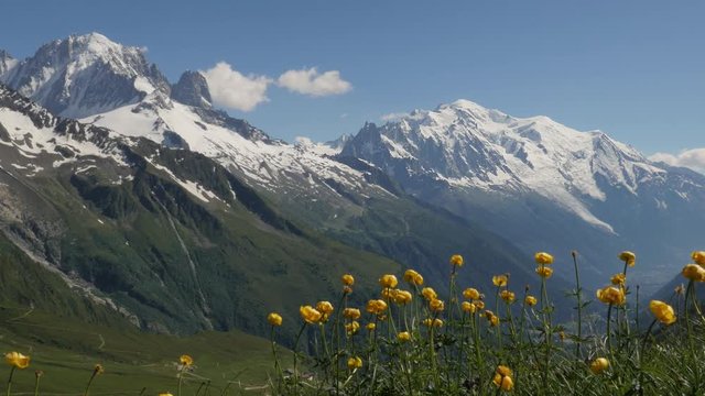 View of the Mont Blanc, with the Drus and the Aiguille Verte peaks,  over the Chamonix valley.