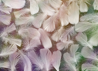 Angelic Multi coloured Feather Background  - random scattered white feathers against a rustic fibre...