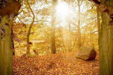 Colorful, dreamy and romantic autumn pictures.