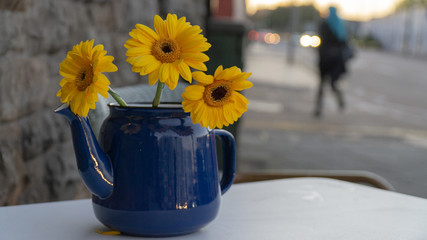 Flowers in a teapot
