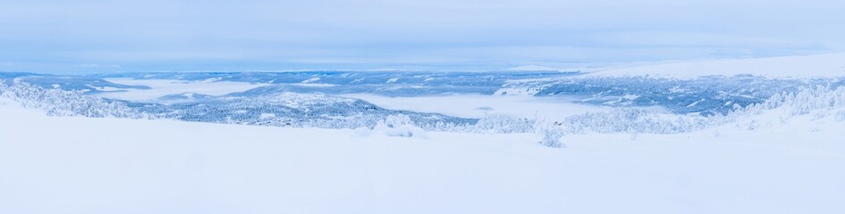 Panoramic view of winter landscape with snow covered trees in Beitostolen. Winter in Norway