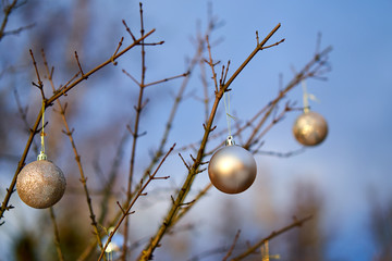 Christmas golden ball and tree branch. Christmas decorations.
