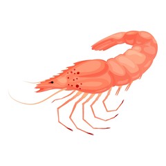 Shrimp icon. Cartoon of shrimp vector icon for web design isolated on white background