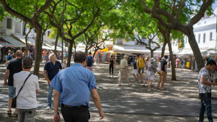 Obraz premium Tree Covered Street