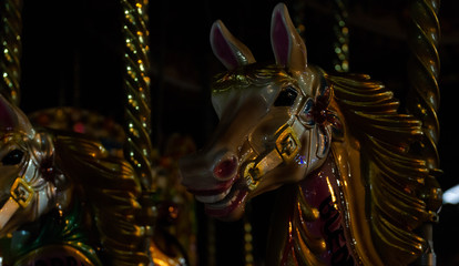 Carousel Horse