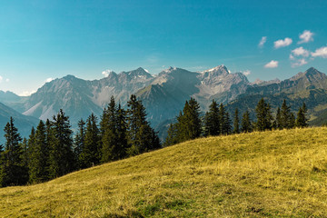 Fototapeta na wymiar Brandnertal in Summer, Vorarlberg, Austria