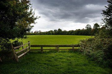 Fototapeta na wymiar pastures and fence