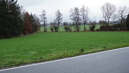 landscape nrw,road, landscape, forest, tree, trees, sky, nature, autumn, green, grass, park, asphalt, travel, summer, blue, countryside, way, highway, 