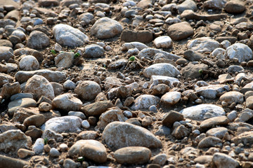Seixos  ft71060267 Ciottoli Pebbles 