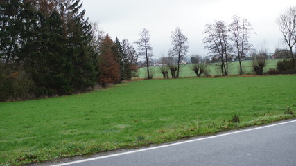 driving in car,grass, green, landscape, golf, tree, park, trees, sky, nature, field, lawn, course, summer, spring, forest, blue, garden, meadow, autumn, gol © Malia