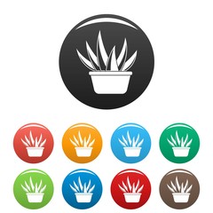 Aloe vera pot icons set 9 color vector isolated on white for any design