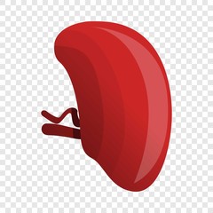 Healthy spleen icon. Cartoon of healthy spleen vector icon for web design for web design