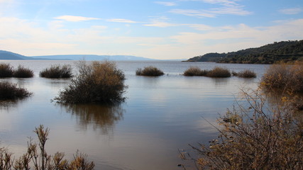 lake in winter
