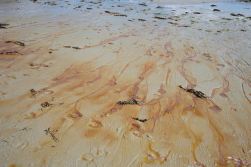 Sandy Beach with Pollution 2