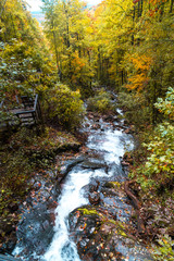 Amicalola Waterfalls in Georgia