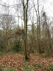 Highwoods