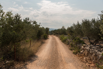 Fototapeta na wymiar Empty macadam and dusty road trough wilderness and forest of Croatian island Brac. Road trough nature with green forest and blue sky during summer. Gravel path
