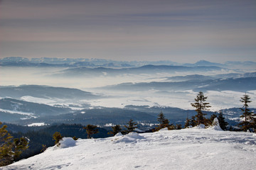 Pine trees in sunny snowfield of Mala Babia hora peak with snowy blue ridges, hazy valleys in...