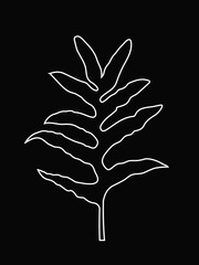 White Line Art of Fern Leaf, Tropical Jungle Leaves, Outline Leaves Vector Illustration, White Color on Black Background