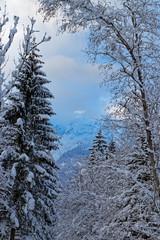 Hinterstoder Winterlandschaft