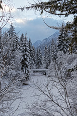 Hinterstoder Winterlandschaft