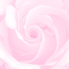 pink soft petals background