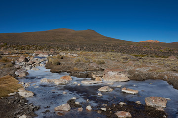 Frozen pools in a wetland along a tributary of the River Lauca high on the Altiplano of northern Chile in Lauca National Park.