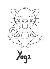 funny cat doing yoga