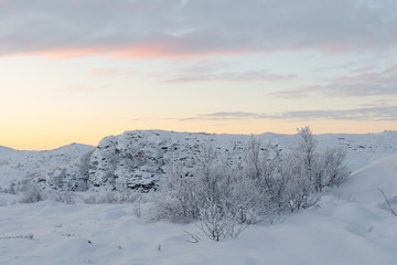 Winter landscape, trees covered with frost.