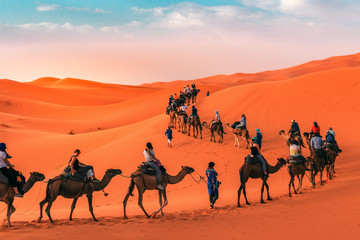 Sahara desert tour, Camel caravan in Merzouga, Morocco  