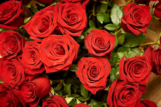 Bouquet Of Blossoming Dark Red Roses.