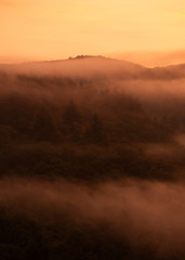 Fototapeta premium Glühender Nebel