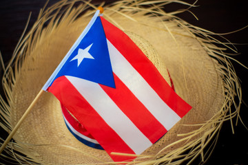 Pava Puerto Rico