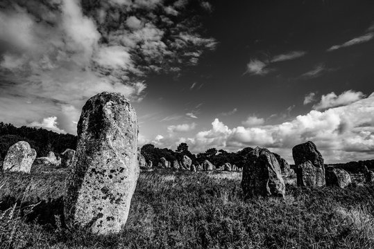 Megaliths - Menhirs - Carnac In Brittany, France