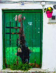 old, vintage green door in Estepona Spain with flowers 
