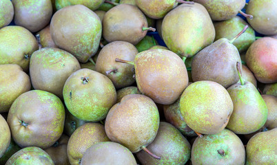 fresh green pears