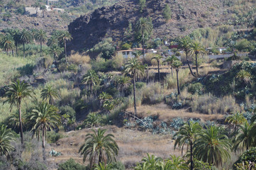 Fototapeta na wymiar Die Bergwelt Gran Canarias 