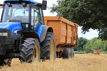 tractor and trailer in a field at harvest time