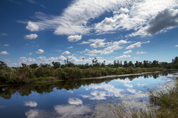 Louisiana, dintorni di New Orleans (USA)