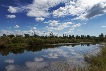 Louisiana, dintorni di New Orleans (USA)