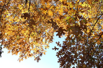 Nature is a beautiful thing