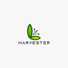 Fototapeta premium Harvest leaf logo design vector