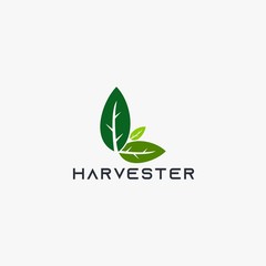 Harvest leaf logo design vector