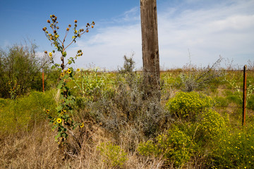 Panorami del Texas e del New Mexico (USA)