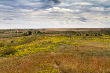 Fototapeta na wymiar Panorami del Texas e del New Mexico (USA)