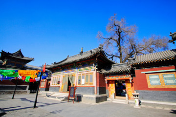 Naklejka premium Five Pagoda Temple Building scenery, Hohhot city, Inner Mongolia autonomous region, China