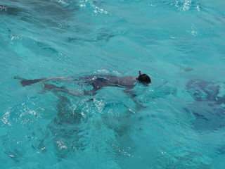 Obraz premium Snorkeling in the Caribbean blue sea 
