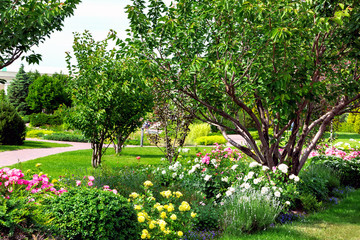 Obraz premium Garden with flowers of multicolored blossoms in the background trees and a walking path on a sunny day.