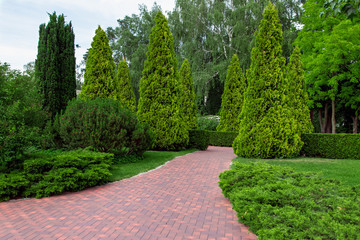 Pedestrian sidewalk in a park area with evergreen plants trees and thuja bushes with leafy bushes and green lawn.